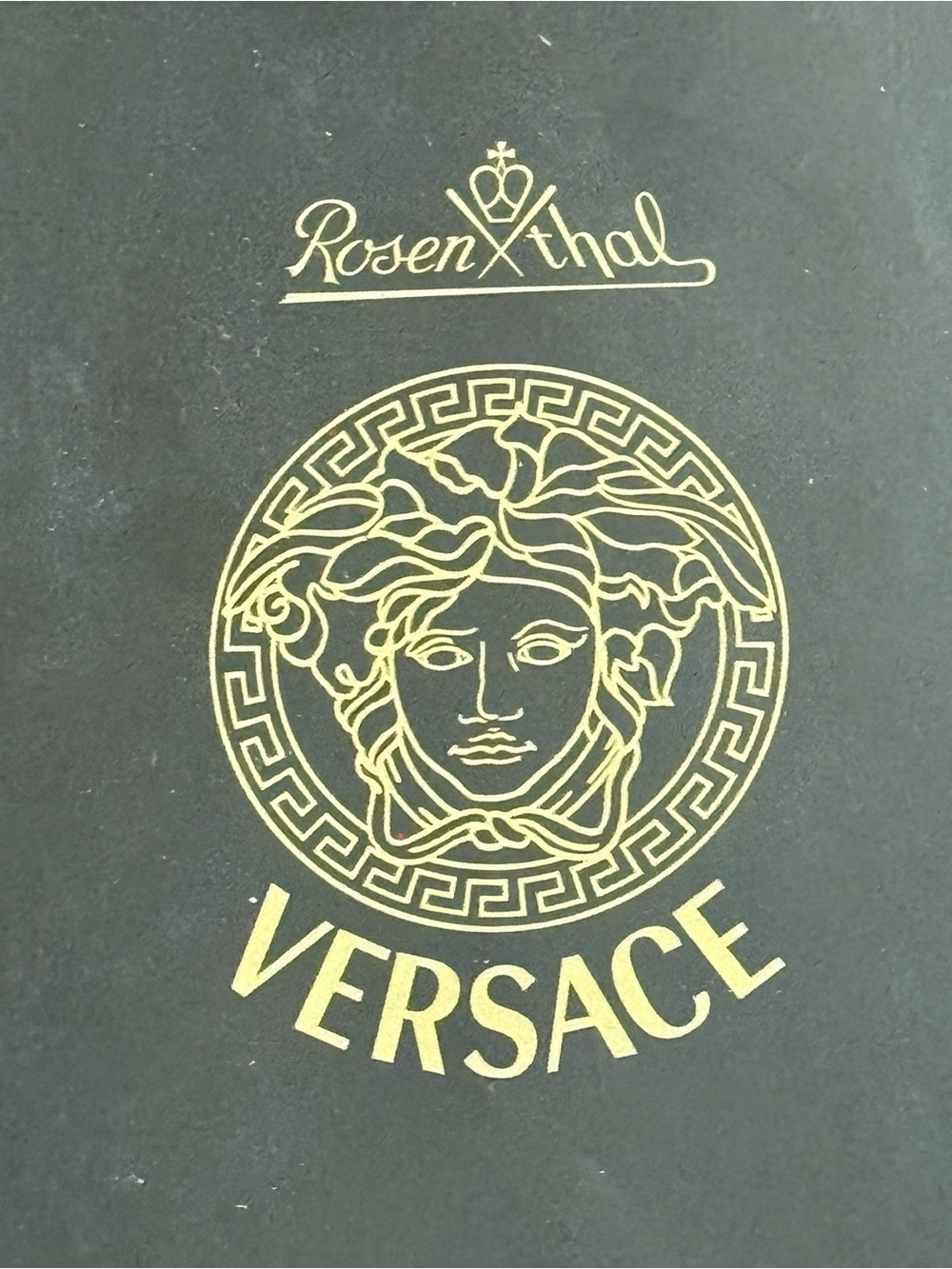 Vintage Versace Rosenthal Partnership Catalog